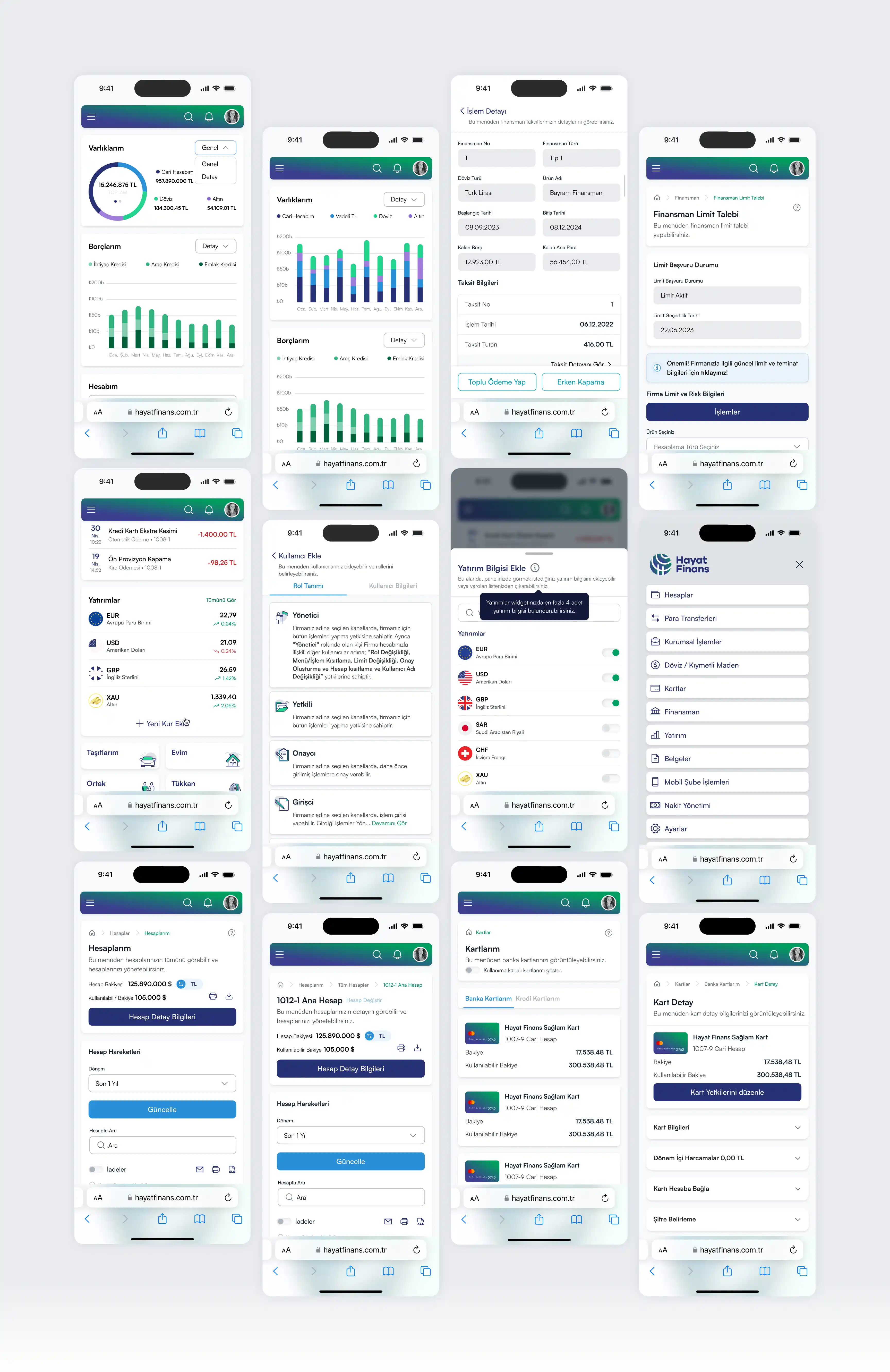 Hayat Finans mobile and web banking screens